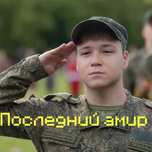 Последний Амир DLS+