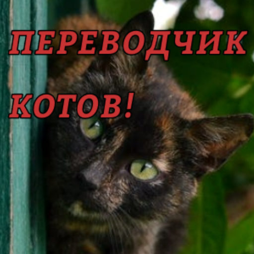 перевести на кошачий язык